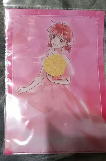 푸른상자 초노 히나 클리어 파일