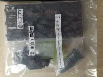 생물대도감 어드밴스 사슴벌레 02 에라푸스 호소아카사슴벌레(그린)