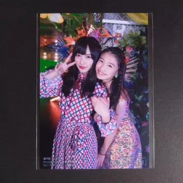 NMB48 토노마마 세이자무스메 타입 D 신성당 혜택 브로마이드