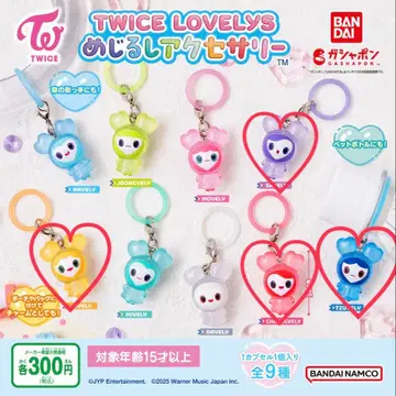TWICE LOVELYS 메지루시 액세서리