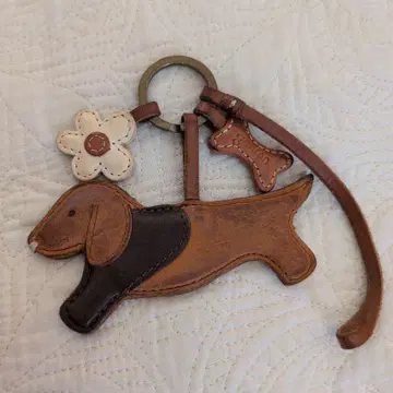 genten 닥스훈트 참 꽃과 뼈다귀