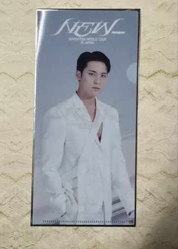 SEVENTEEN 라이브뷰잉 혜택 티켓 홀더 민규