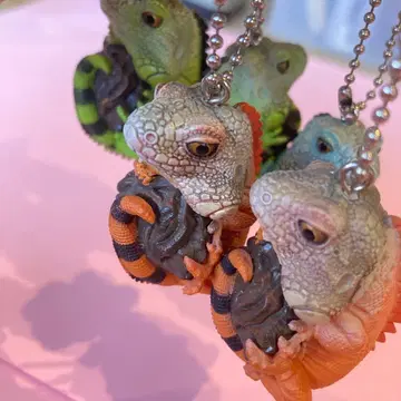 그린 이구아나 마스코트 묶음 판매