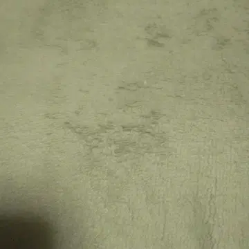 시라타마 시라타마코 색지