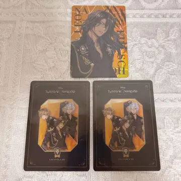 트위스테 브레이징 주얼 오로라 카드 레오나 사바나 클로 기숙사