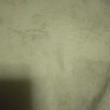 시라타마코 에시 100인전 08 아크릴 아트 플레이트 시라타마