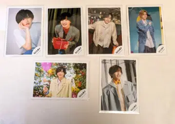 [새상품급] 미치에다 슌스케 사진 8매 세트