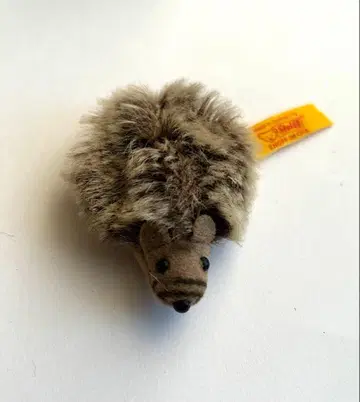 슈타이프 가시쥐