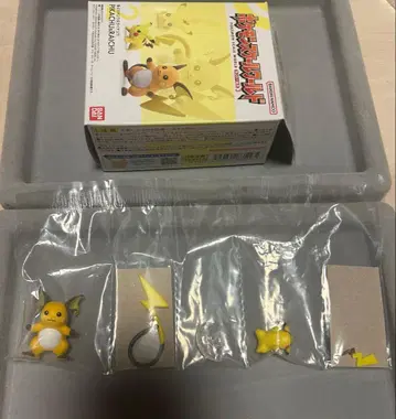 포켓몬 월드 피카츄&라이츄