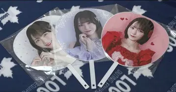 =LOVE 아레나 투어 2025 8주년 노구치 이오리 개별 빅 부채