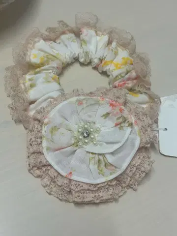 사에라 아키아카네 스크런치