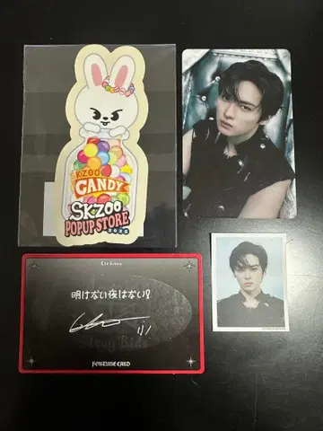 straykids 리노 스티커와 포토 카드 세트