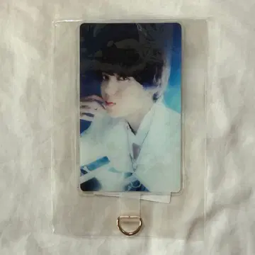 원인은 자신에게 있다 코이즈미 코사쿠 폰 탭