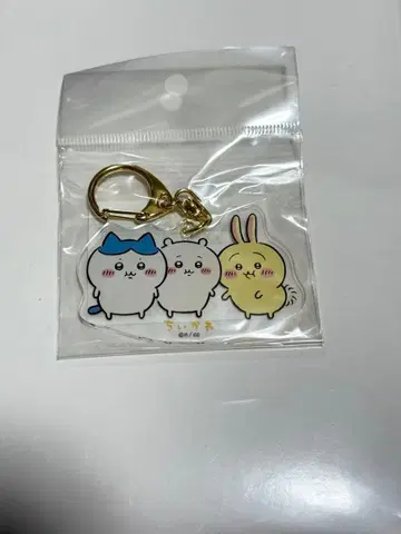 치이카와 키링 (모두)