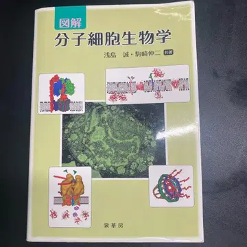 도해 분자세포생물학