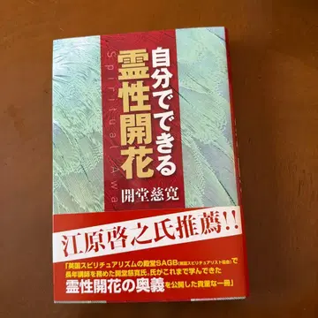 스스로 할 수 있는 영성 개화 개당지관 저