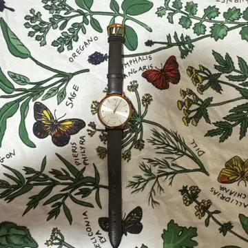 ete 시계 골드 브라운