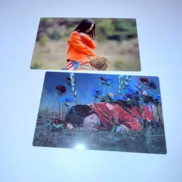 사쿠라자카46 코가라시는 울지 않아 클리어 카드 타니구치 아이리 2종