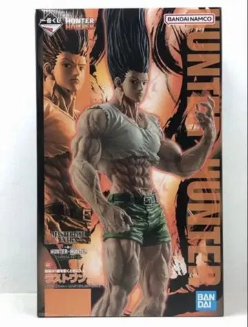 제일복권 HUNTER x HUNTER 곤 성장 ver. 라스트 원상
