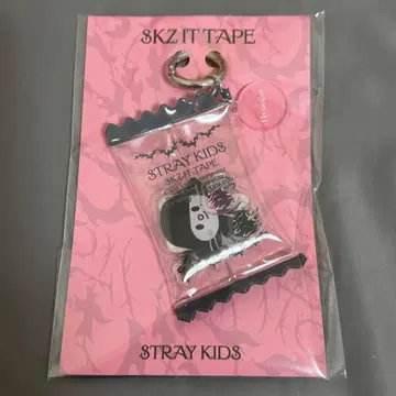 straykids 팝업 키링