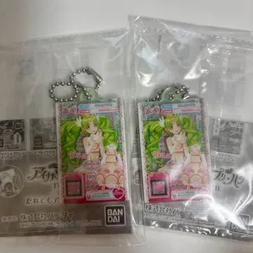 누구나 아크릴 참 프리파라 파루루