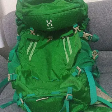 HAGLOFS 그린 백팩 중형