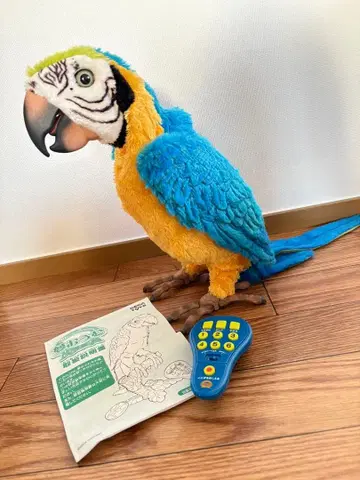 말하는 꿈 앵무새 세가토이즈 본체 리모컨 노래 댄스 로봇