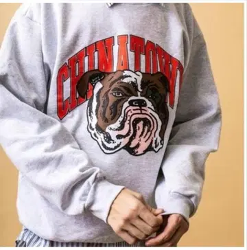 완판템 CHINATOWN MARKET 불독 트레이닝복 L 사이즈