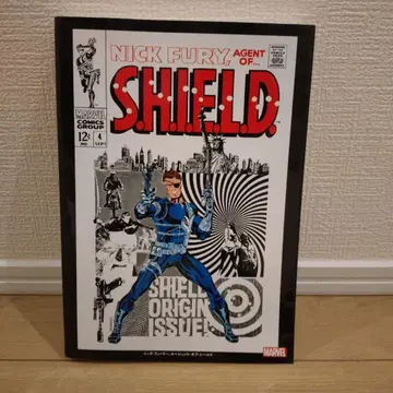닉 퓨리 에이전트 오브 쉴드