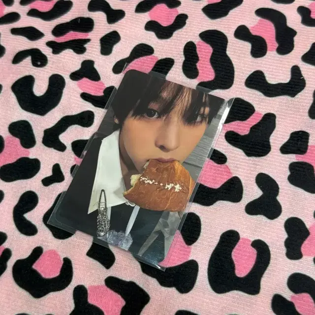 스테디 리쿠 앨범 포카 소금빵