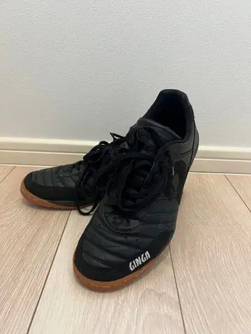 데스포르치 카피냐스 JP3 GINGA 풋볼 파크 오리지널 컬러