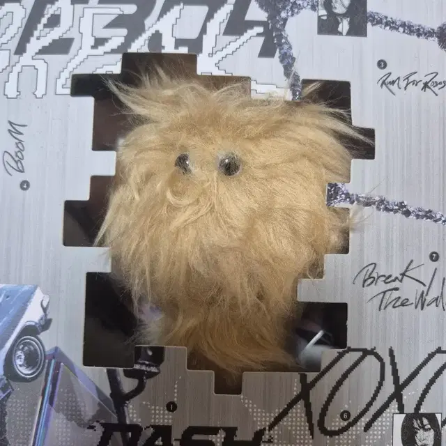 엔믹스 배이 해파리 Dash 앨범