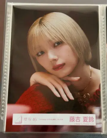 사쿠라자카46 unhappy birthday 구문 생사진 후지요시 카린