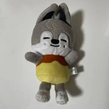 stray kids 방찬 울프찬 백참