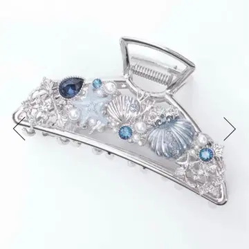 액시즈 미스티컬 쉘 클립