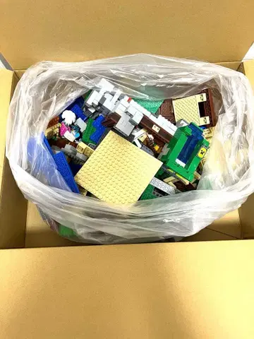 레고 블록 세트 (마인크래프트 외)