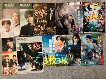 메구로 렌 곧 헤어집니다 달의 차고 짐 REGZA 팸플릿 외