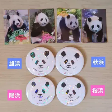 어드벤처 월드 카드와 캔뱃지 세트