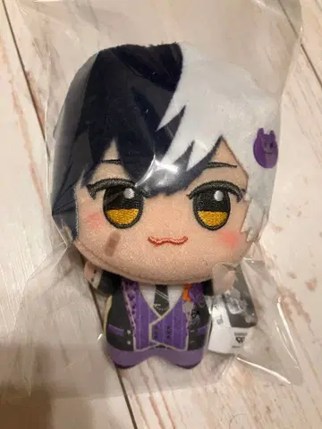 치비구루미 앰프턱 컬러즈 마제타