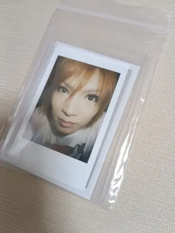 골든 폭격기 금폭 귀류인 쇼 폴라로이드 사진 새상품급