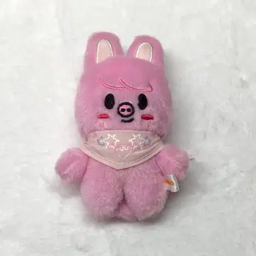 창빈 돼끼 10cm 봉제 인형