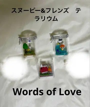 스누피&프렌즈 테라리움 3체 세트