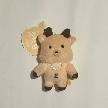 RIIZE 성찬 봉제 인형