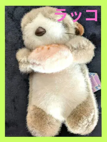 [ 수족관 ] 랏코(그레이와 화이트) 봉제 인형(택 포함)