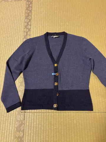 Salvatore Ferragamo V넥 가디건