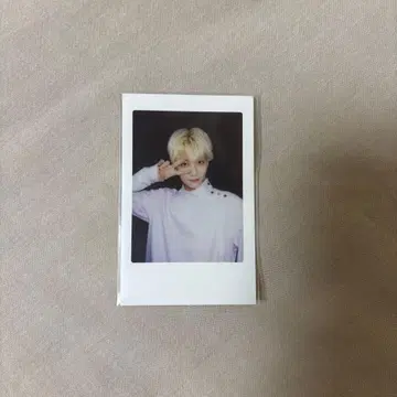 SEVENTEEN 정한 DIAMOND EDGE 폴라로이드 트레이딩 카드