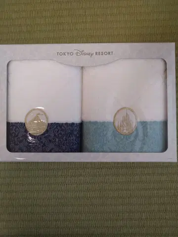 도쿄 디즈니 리조트 타월 2개 세트