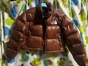 THE NORTH FACE 브라운 다운 자켓 M 90 한국 눕시