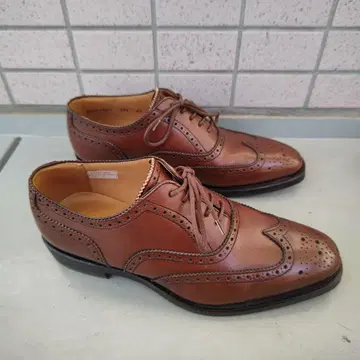 리갈 브라운 24cm REGAL 윙팁