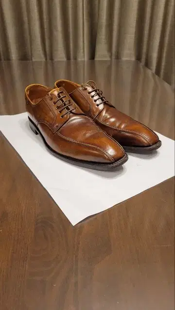 REGAL 03AR 브라운 스월토